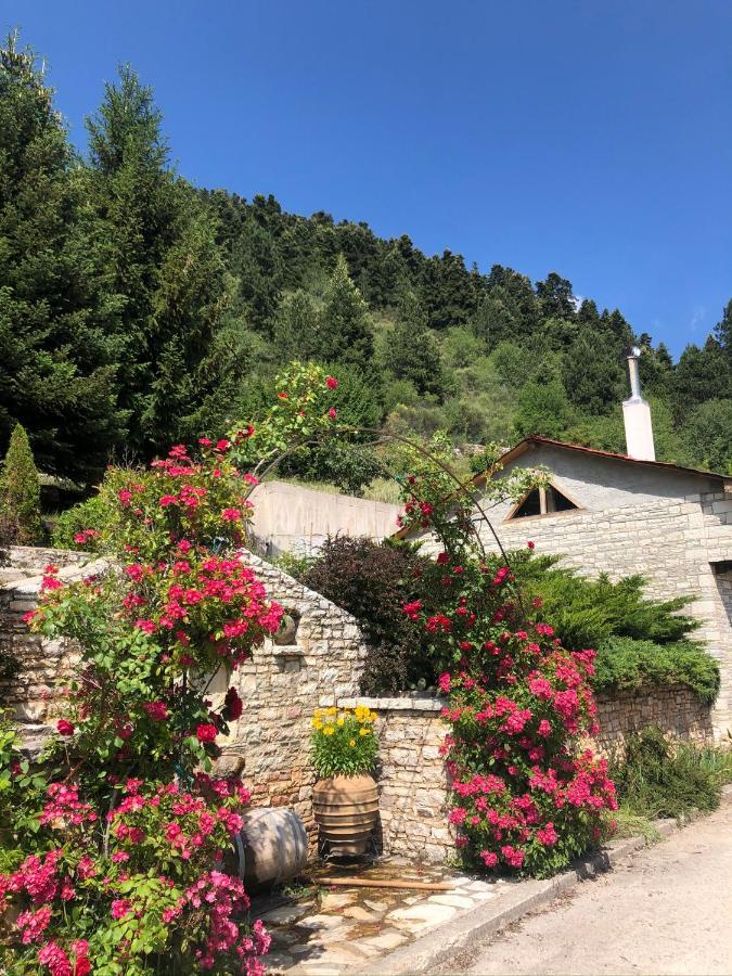 Willows Lodge 카페니시온 외부 사진